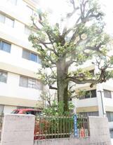 初台マンション