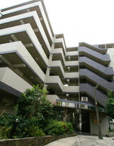 レナトゥス四谷