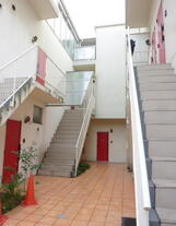 カラクムアチェリア